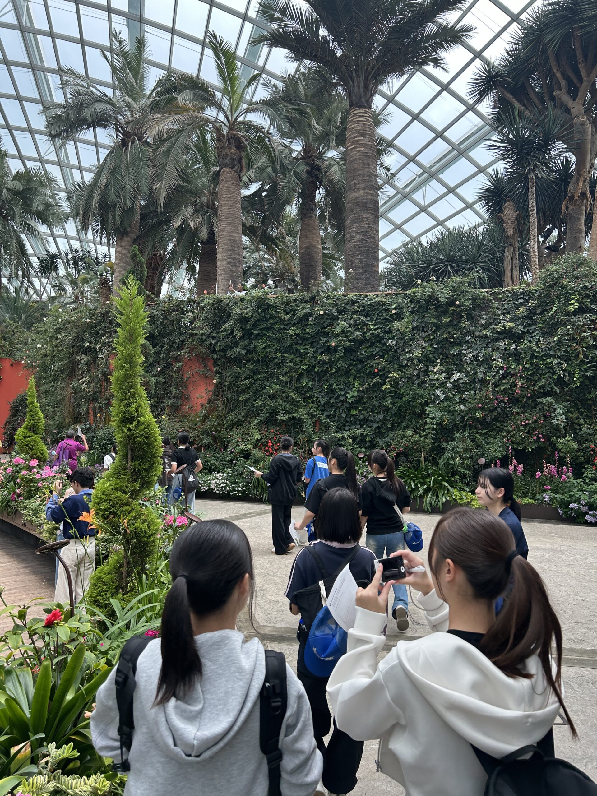 如水館ニュース | 如水館中学高等学校